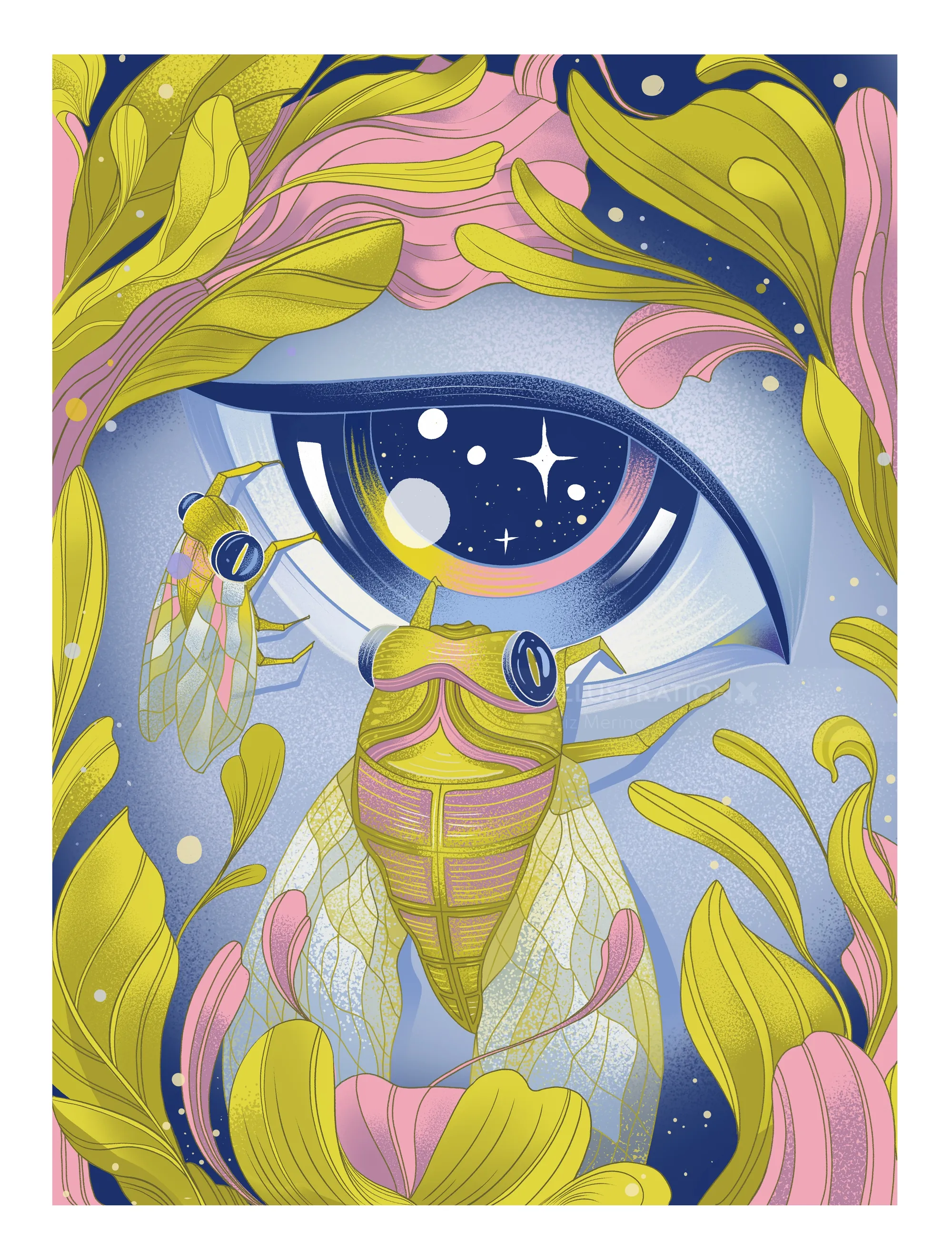 Ilustración de Liz Merino de una cigarra emergiendo ante un ojo lleno de estrellas.