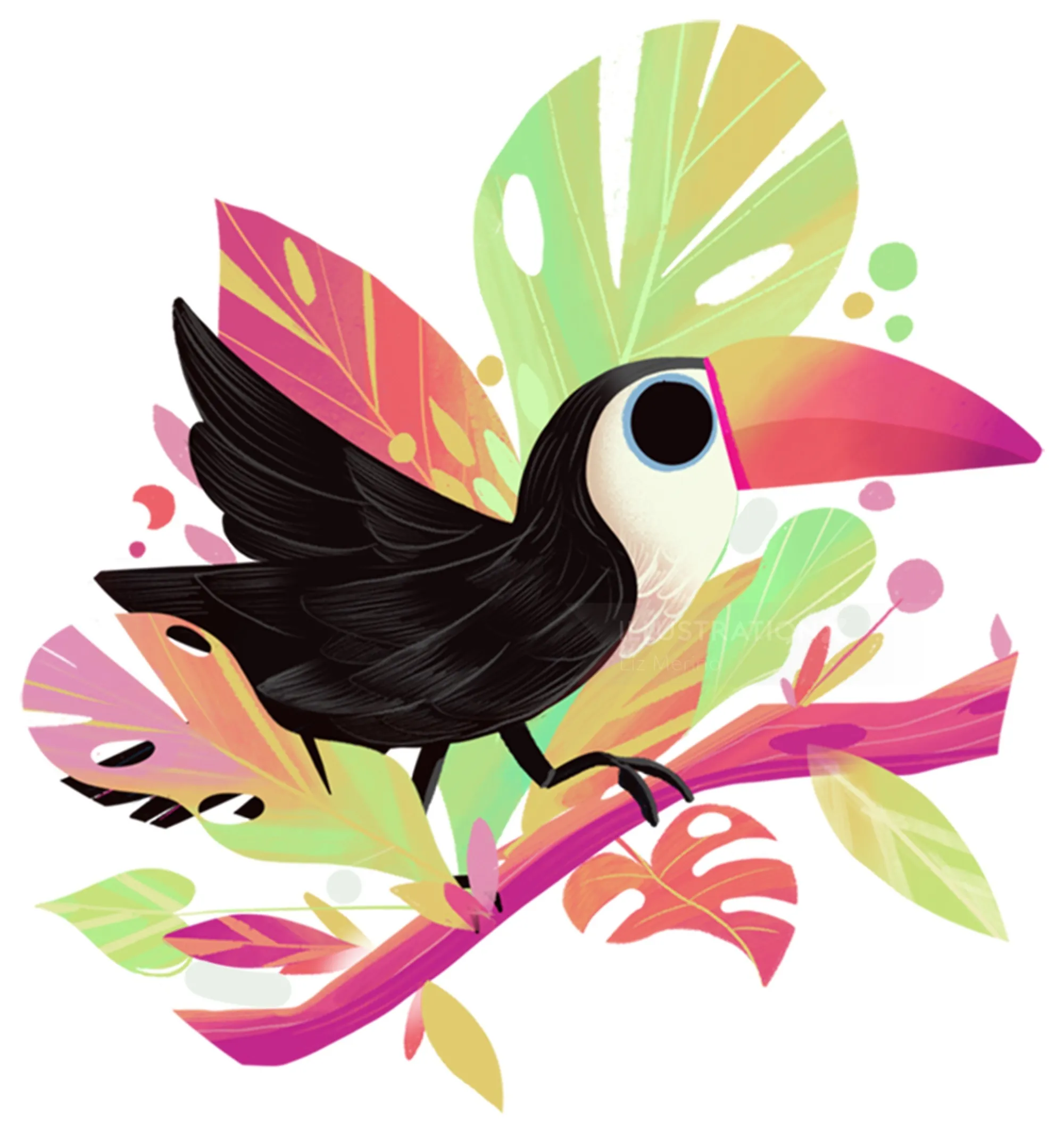 Liz Merino illustration of a colorful toucan perched among tropical leaves