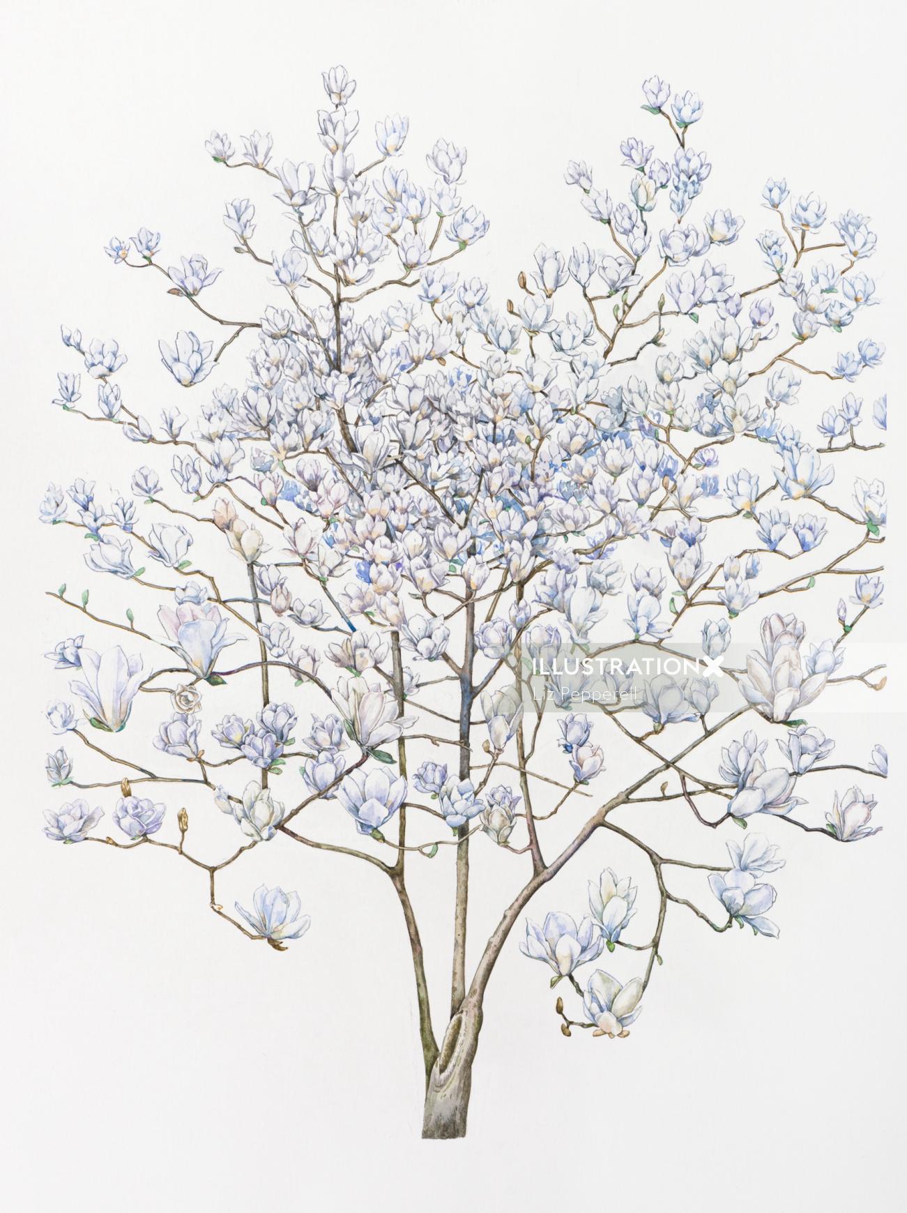 Arte de la acuarela de Magnolia