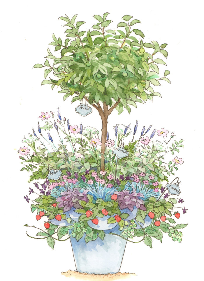 植木鉢の水彩画