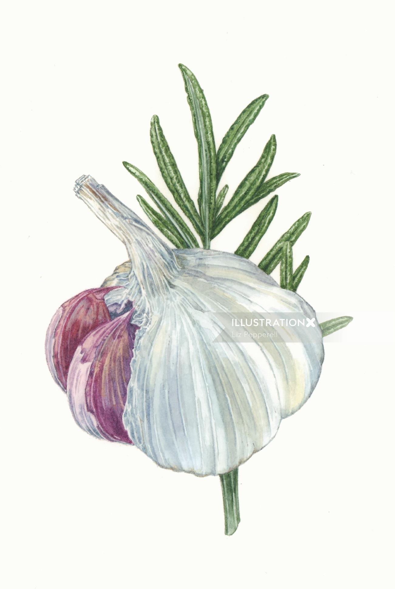Food illustration of Garlic & Rosemary