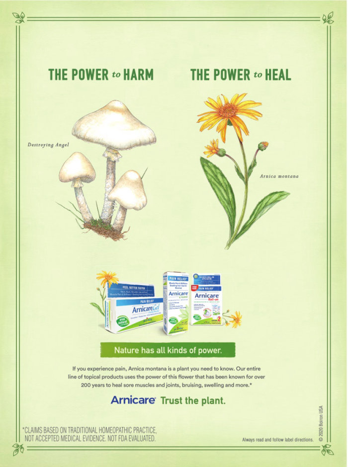 Arnicare广告的医学插图。