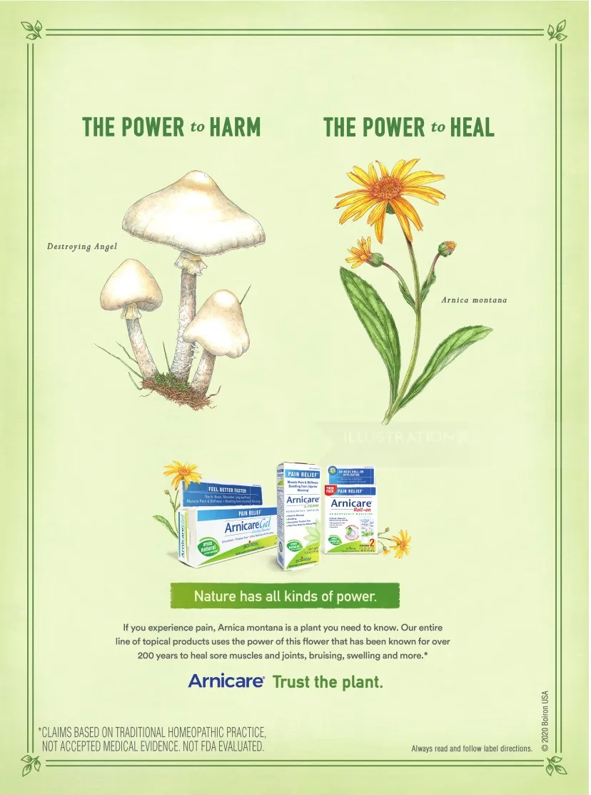 Ilustração médica de Arnicare Ad. 