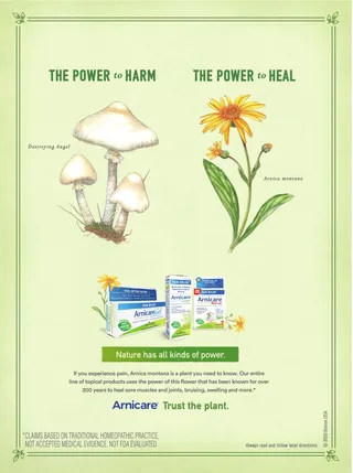 Medical illustration of Arnicare Ad. 