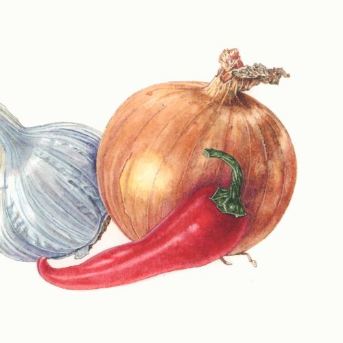 Onion Pepper and Garlic realistic art
