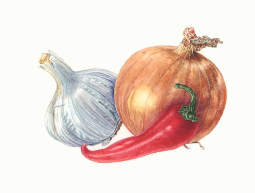 Onion Pepper and Garlic realistic art