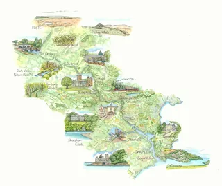 Wildflower meadow in Dart Valley Nature Reserve