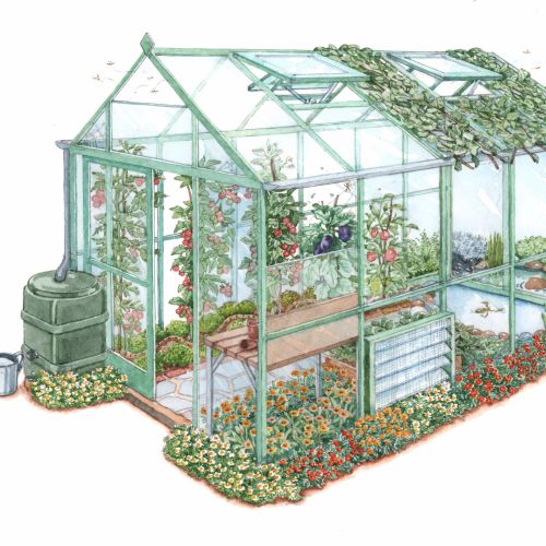 Controlled environment structure for growing plants