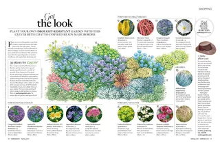 Waitrose Garden magazine for an article on garden borders