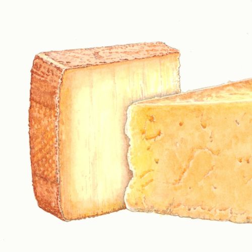 Close-up of aged Manchego cheese texture