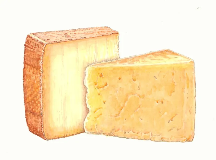 Close-up of aged Manchego cheese texture