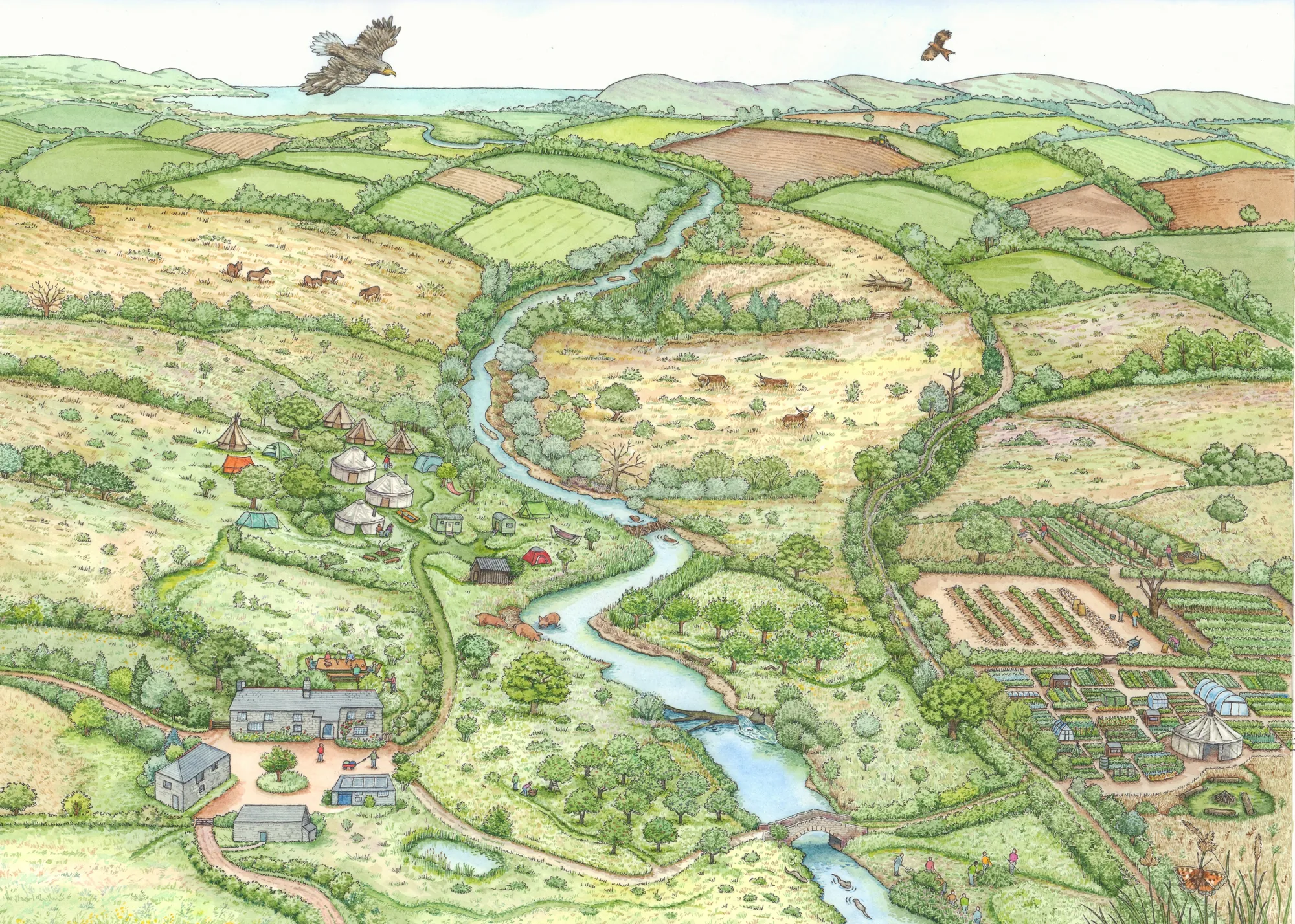 Watercolor painting of a Rewilding Farm