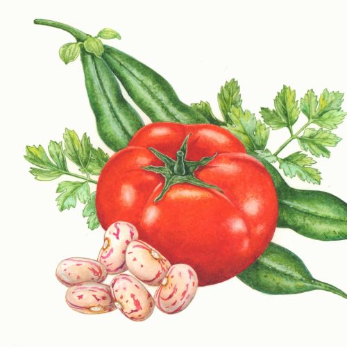 Tomato, green pods, parsley, and beans by Liz Pepperell
