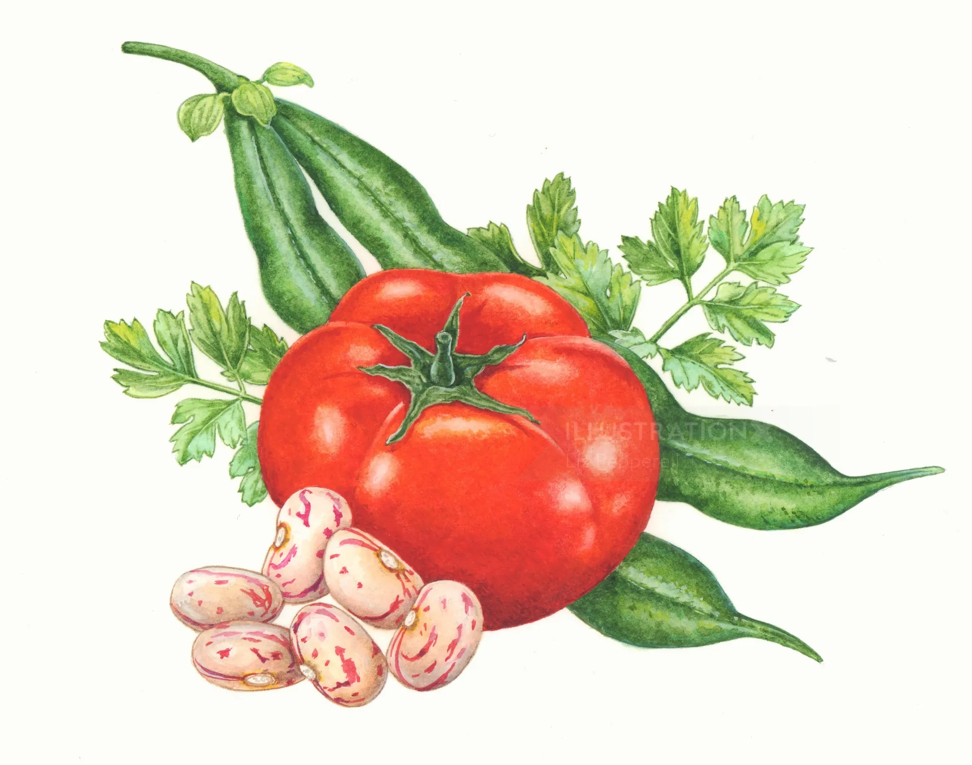 Tomato, green pods, parsley, and beans by Liz Pepperell