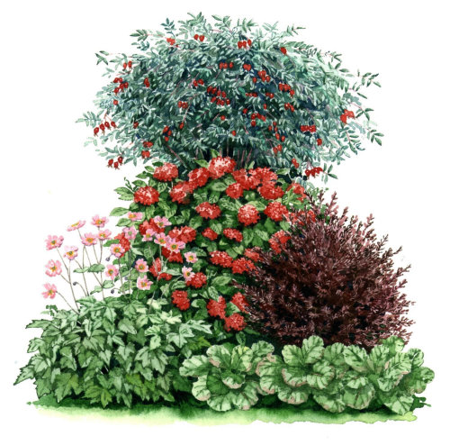 Lobelias plants realistic art