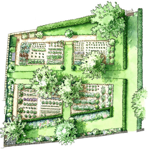 Ilustração do mapa do jardim botânico