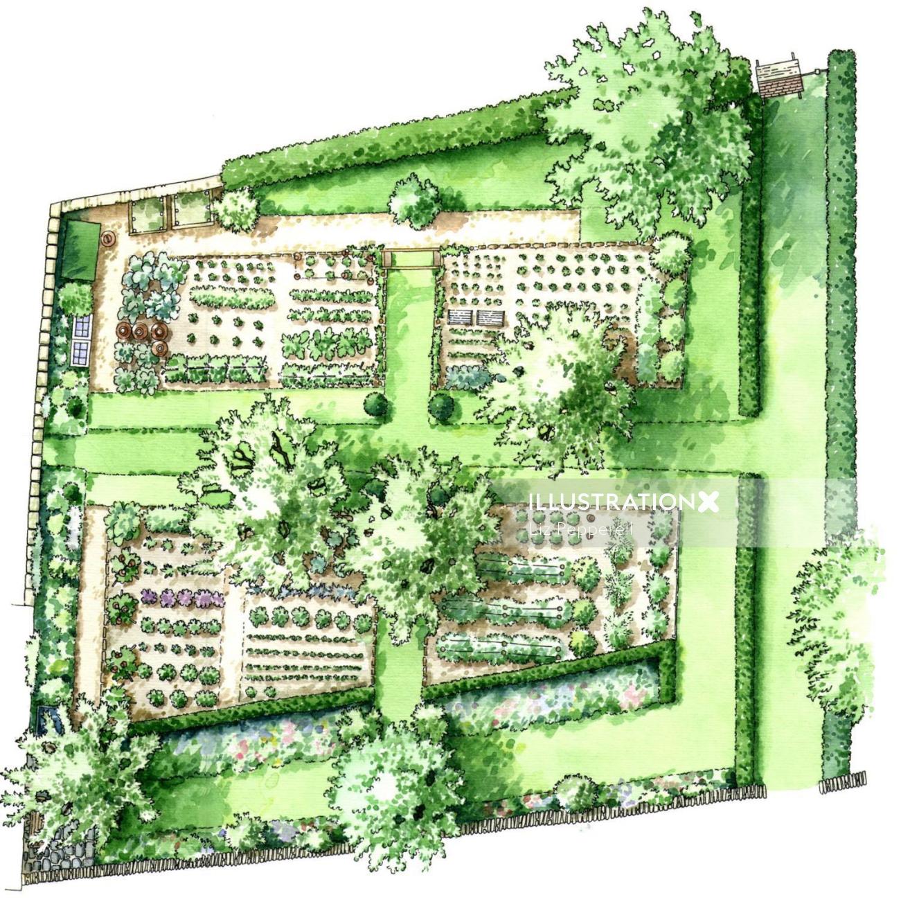 Ilustración de mapa de jardín botánico