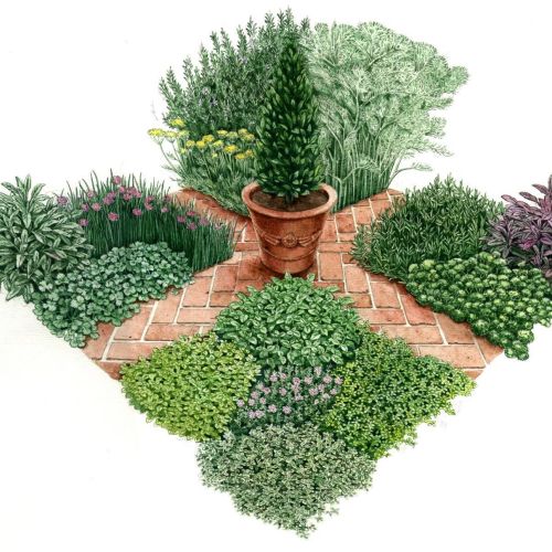 Illustration small garden