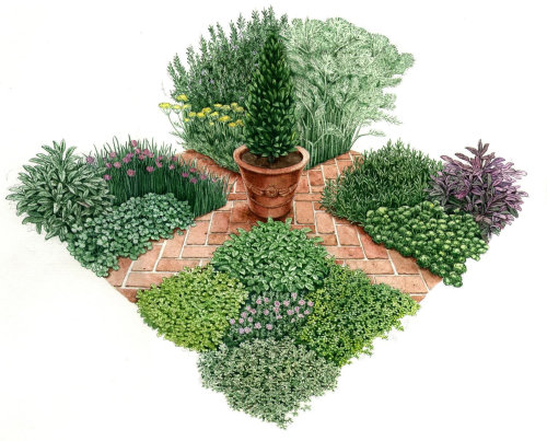 Pequeno jardim de ilustração