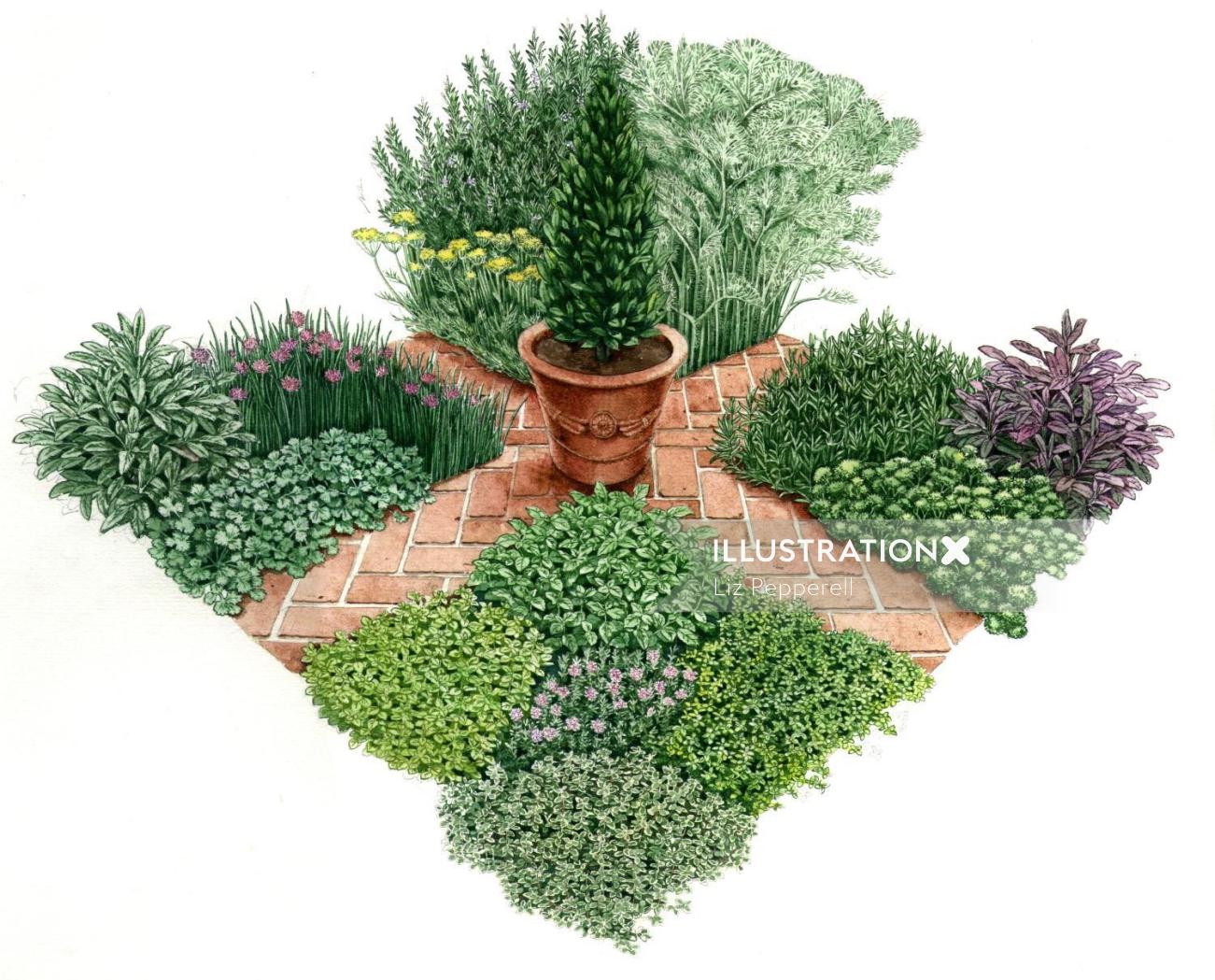 Ilustración pequeño jardín