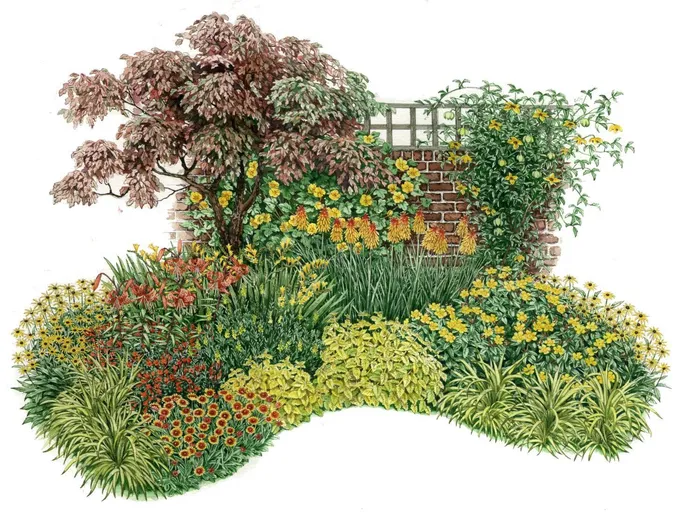 Colourful garden nature illustration