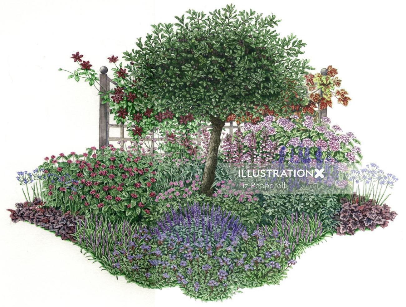 リズ・ペペレルによる植物の絵