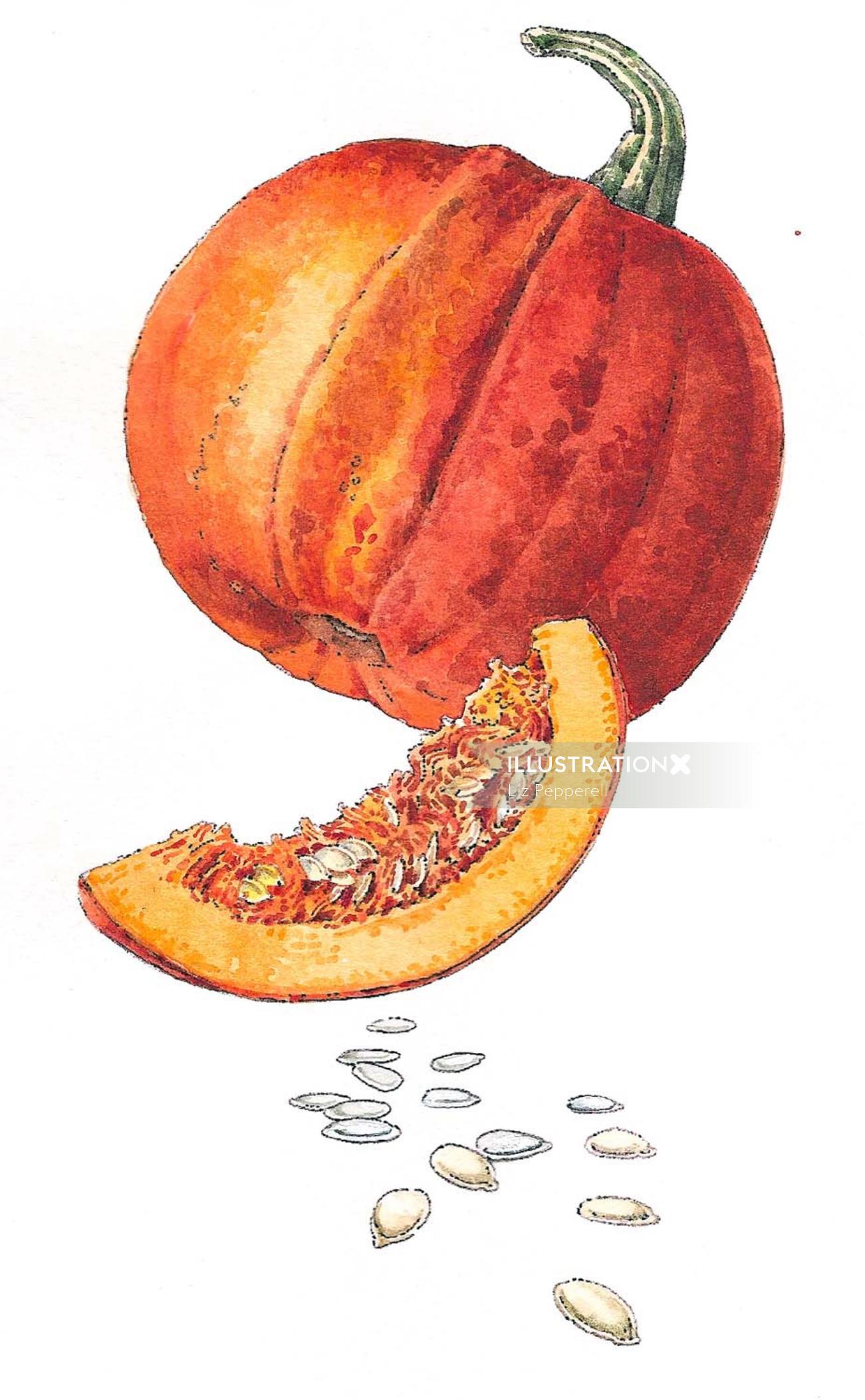 Ilustración de comida de rebanada de calabaza
