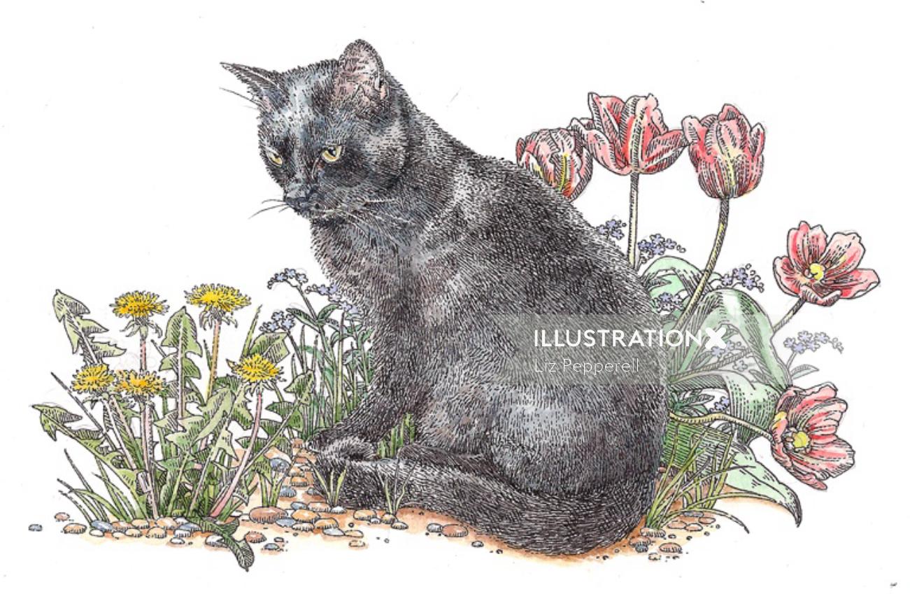 Ilustración animal de gato negro de pelo corto