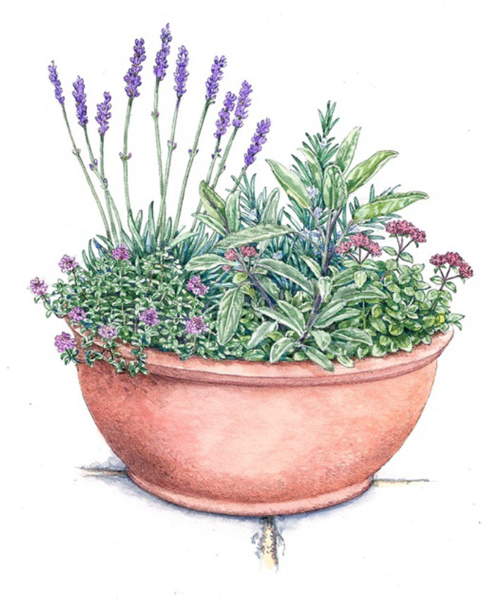 Flower pot pastel painting