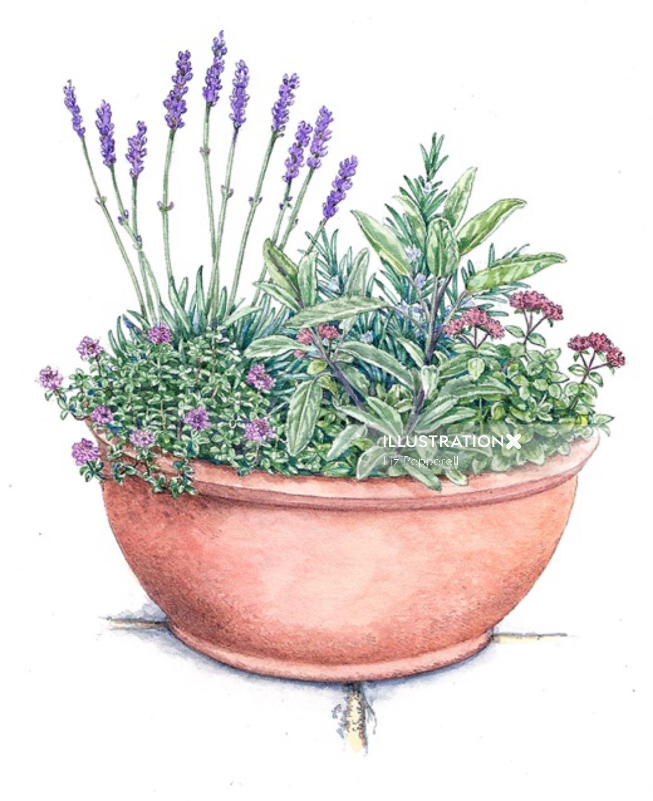 Flower pot pastel painting