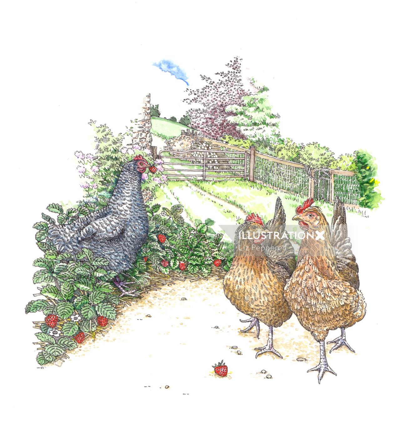 鶏肉のデジタル絵画