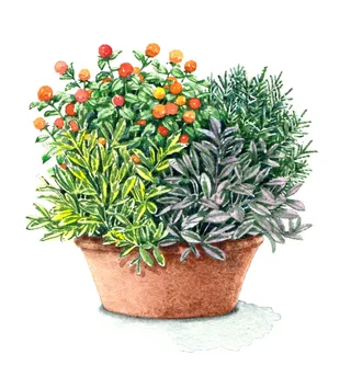 Photorealism of flower pot