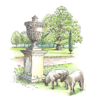 Illustration décorative d&#39;ornement de pelouse 