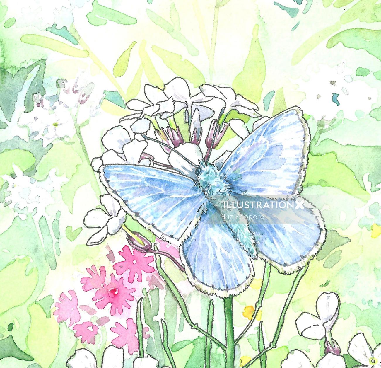 美しい青い蝶