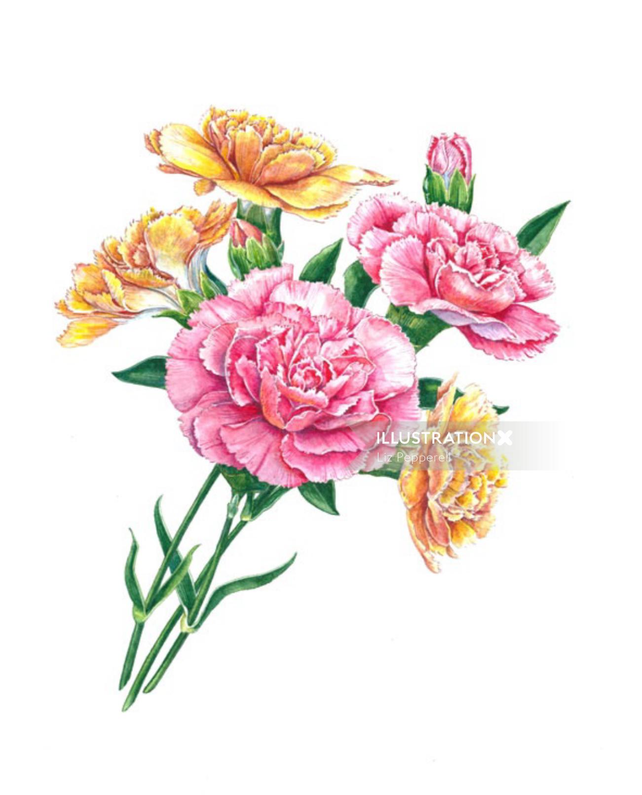 Carnations Watercolor art
