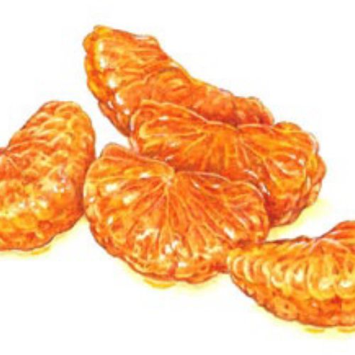 Food illustration of clementine slice 