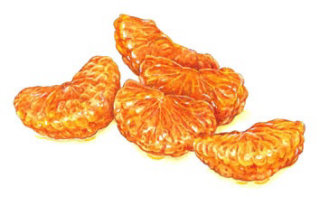 Ilustração alimentar de fatia de clementina 