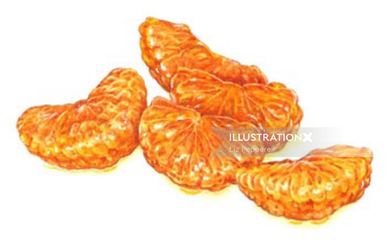 Ilustración de comida de rodaja de clementina