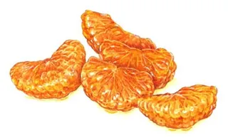 Food illustration of clementine slice 