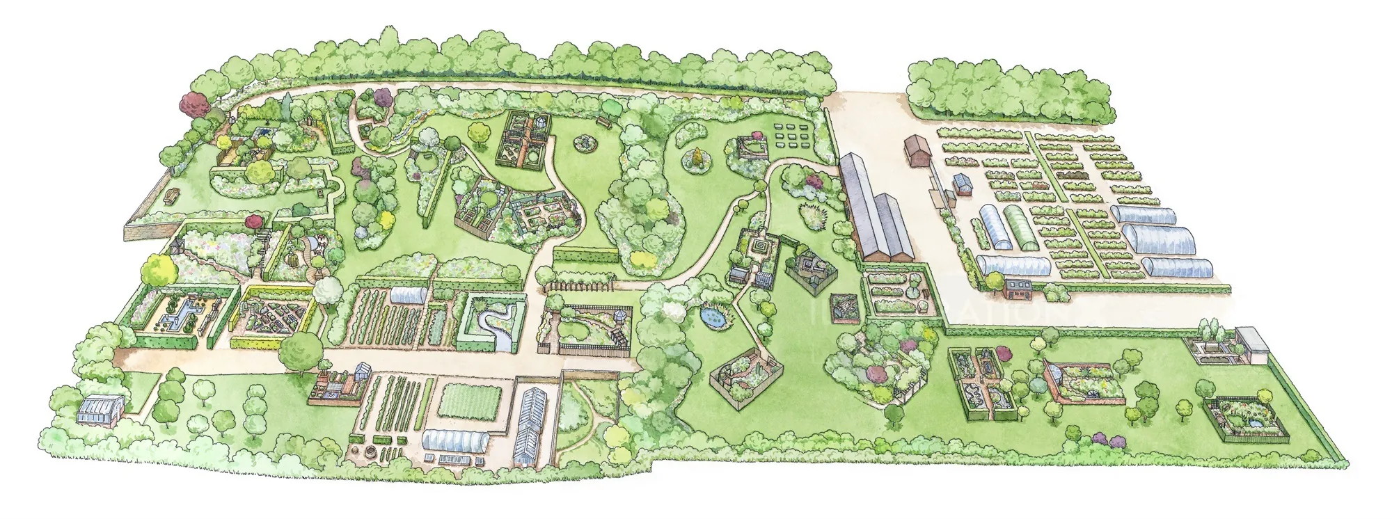 Illustrated garden layout plan by Liz Pepperell