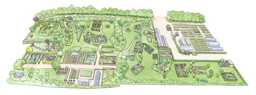 Illustrated garden layout plan by Liz Pepperell