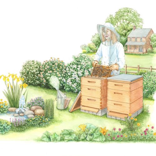 Painting of a woman beekeeper