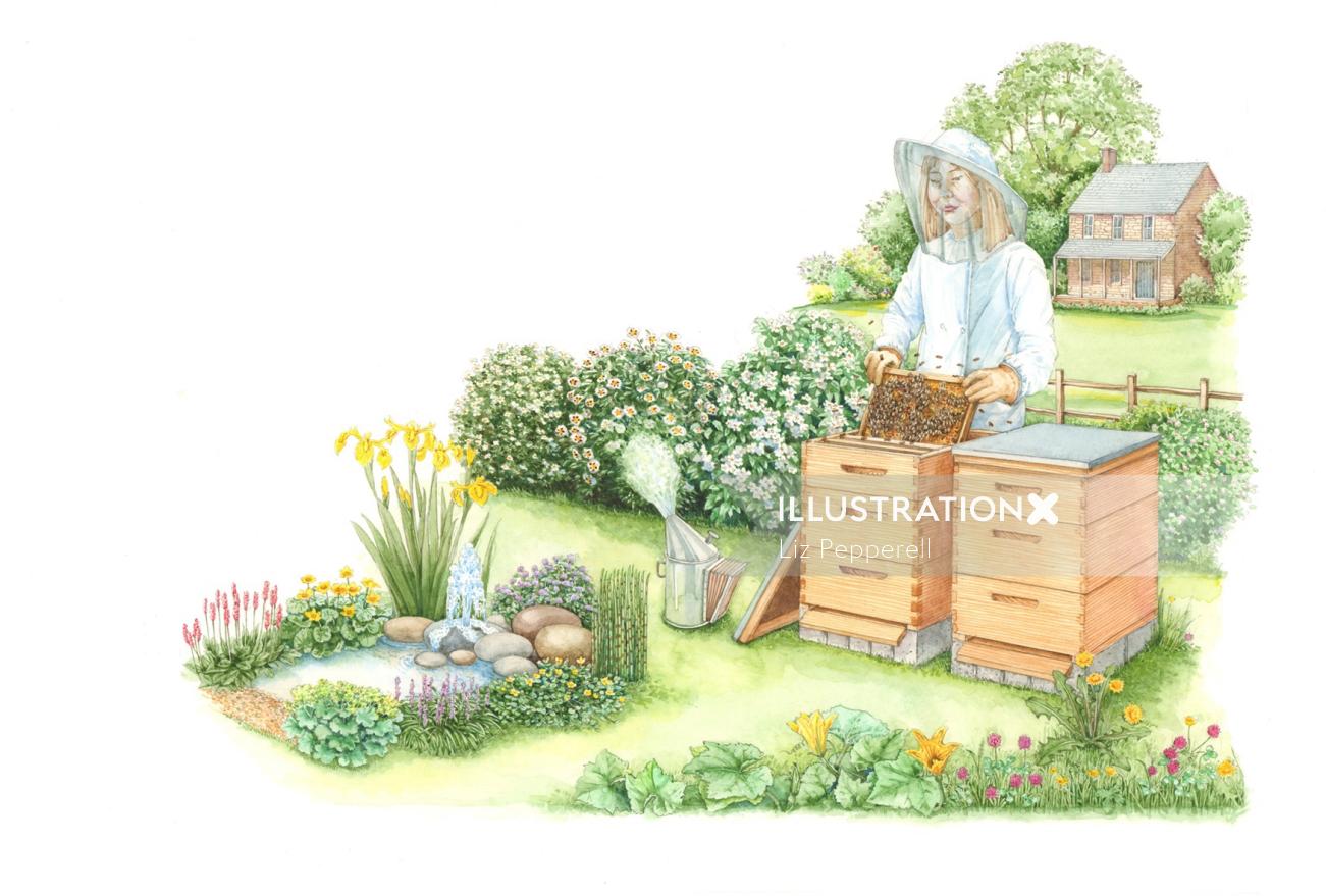 女性養蜂家の絵