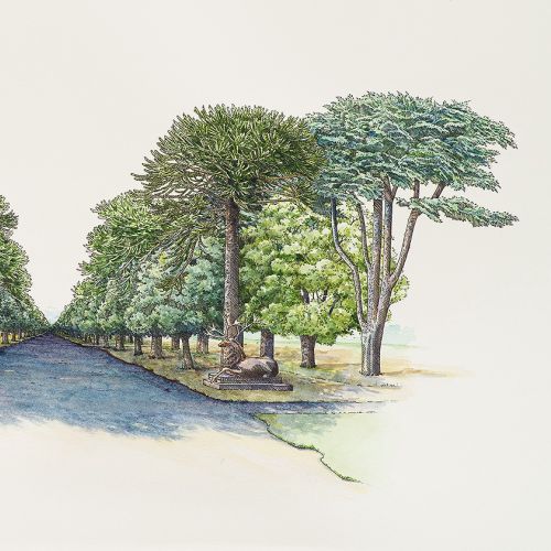 A Nature Painting with a Park View