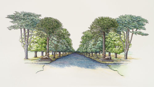 Liz Pepperell 英国国际自然与植物插图画家