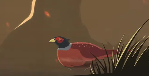 Study MSc Nature Recovery, Restoration and Rewilding at the University of Manchester (Animation)