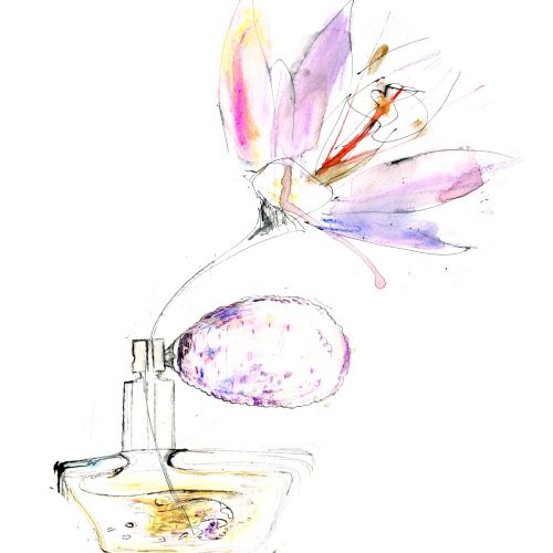 Flower illustration by Lucia Emanuela Curzi