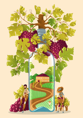 Ilustración imaginaria de la colección de vinos.