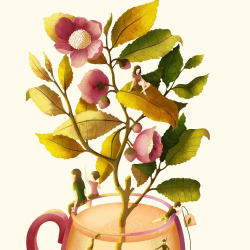 Tea collection visionary illustration