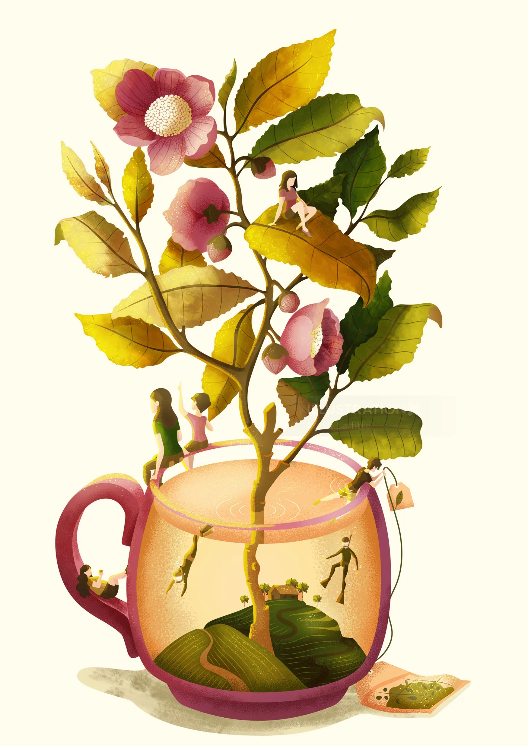 Tea collection visionary illustration